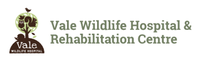 Vale Wildlife Hospital and Rehabilitation Centre Logo Website Link