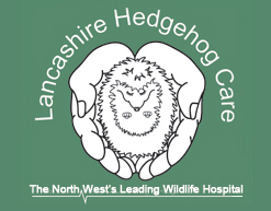 Links-Lancashire-Hedgehog-Care-Logo