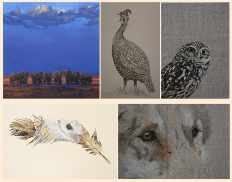 2015 - David Shepherd Wildlife Artist of the Year Exhibition.