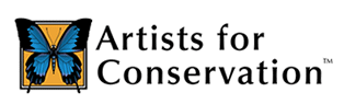 Artists for Conservation Logo Website Link