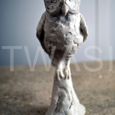 'Owl' by Elliot Channer Marble 15 x8 x7 £65