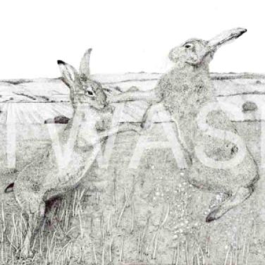'March Hares' by Jacqui Franks Framed 70 x 60 Pen & Ink £325