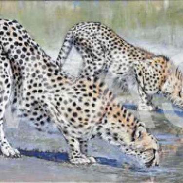'At the water hole' by Neal Griffin 51.5 (h) x 90 (w) Framed / 40 (h) x 80 (w) unframed £1,100