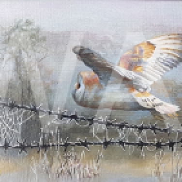 'Over the Wire' by Nicola Moore Framed 25 x 65 Oil on canvas £400