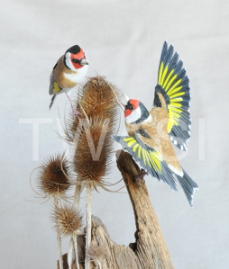 'Goldfinches' by Pam Knight Mixed media sculpture 31 x 20 x 18 £1,250