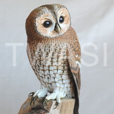 'Tawny Owl' by Pam Knight Mixed media sculpture 37 x 23 x 15 £1,850