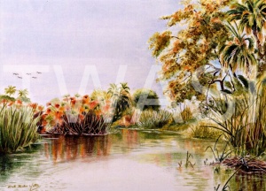 'Reflections' by Ruth Baker Walton Watercolour Framed 57 x 47 £105