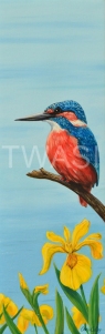 'Kingfisher' by Christopher Colley Oil on Canvas Framed 26.7 x 66.6 £285