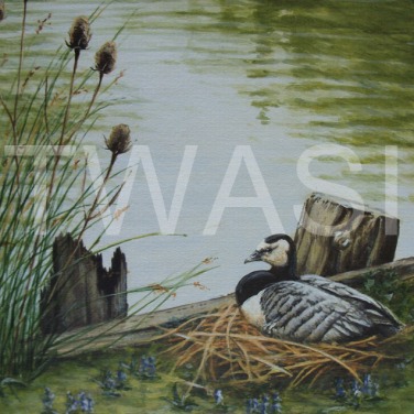 'Lakeside Nest' by Frances Sullivan Acrylic Unframed 33 x 38 £135
