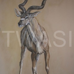 'Greater Kudu' by Yvonne Lamden Cooper Pastel and Gold Leaf Framed 84 x 57 £1,200