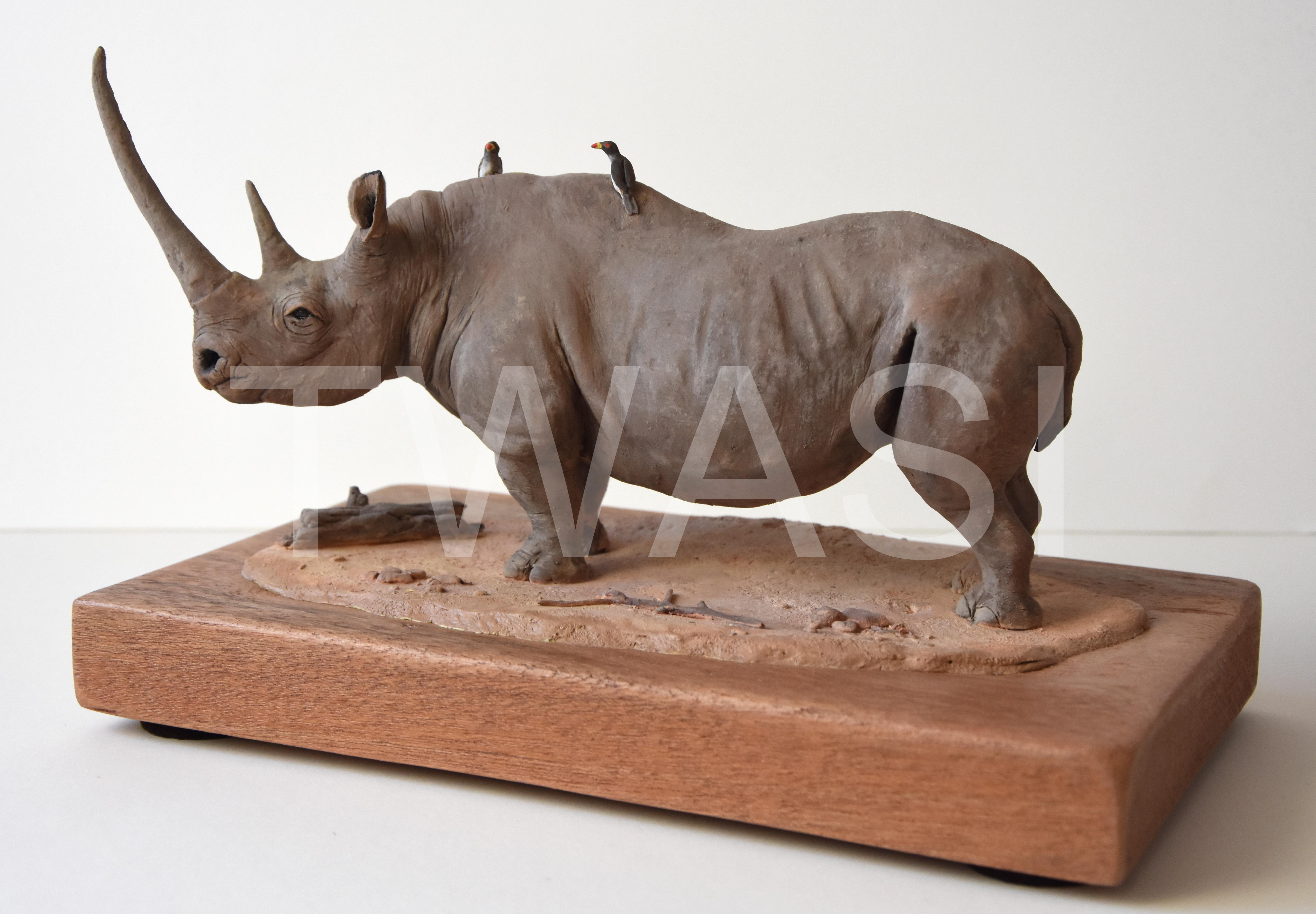 Black Rhino by Neal Griffin