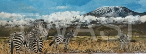 'Zebras' by George Yiend yiend@hotmail.co.uk