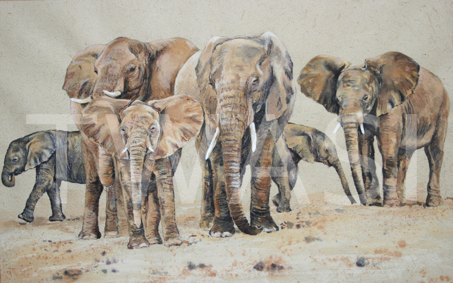 'Elders' Wisdom by Carol Barrett Watercolour and Coffee on Elephant dung paper 51 x 37 cms L320